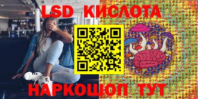 МДПВ Волгодонск