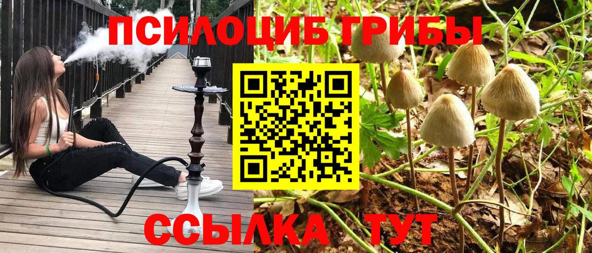 наркотики  Галлюциногенные грибы Psilocybine cubensis  Нижнекамск  Вход с VPN  Галлюциногенные грибы прущие грибы 