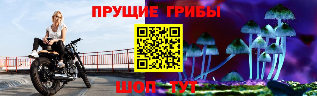 Псилоцибиновые грибы мухоморы Нижнекамск